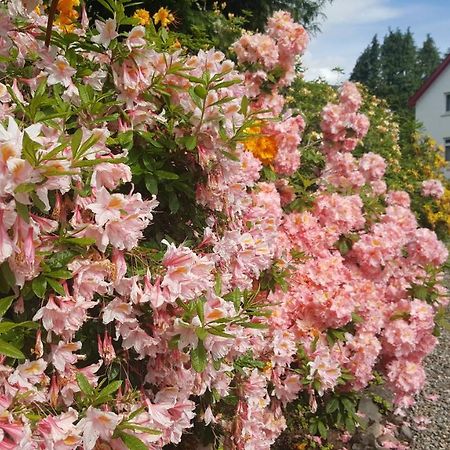 Torbeag House Bed & Breakfast Fort William Luaran gambar